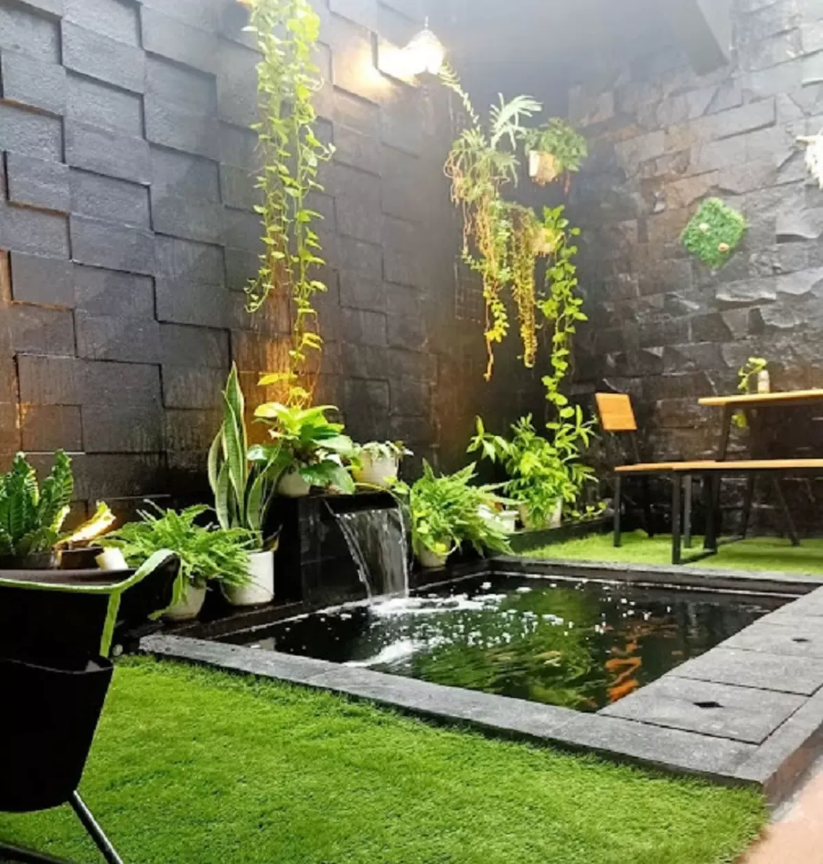 Menghiasi Rumah dengan Ikan Hias: Ketenangan di Tengah Keramaian Cilacap